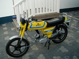 hans_astrom_rex hans_astrom_rex