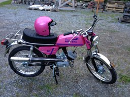 mats_engstrom_rosapanter mats_engstrom_rosapanter