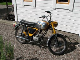 matsove_moller_rex matsove_moller_rex