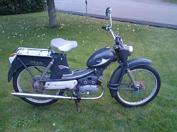 thomas_axelsson_rex thomas_axelsson_rex