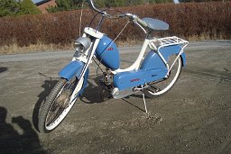 tore_eriksson_rex tore_eriksson_rex