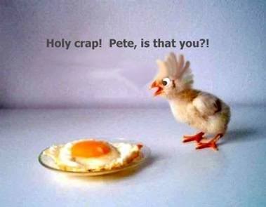 funny-easter-pictures24.jpg